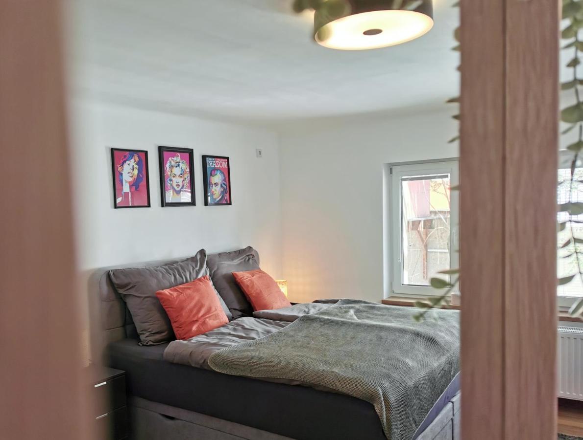Neues City Center Piano Appartement Mit Netflix 클라겐푸르트 외부 사진